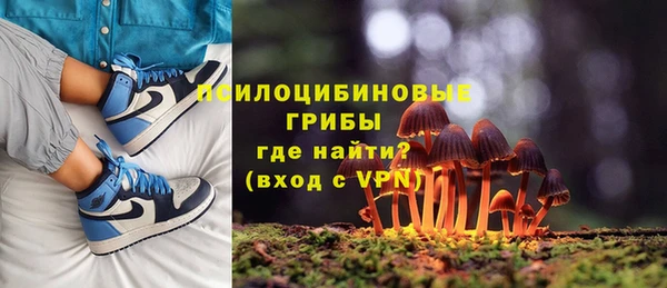 кокс Аркадак