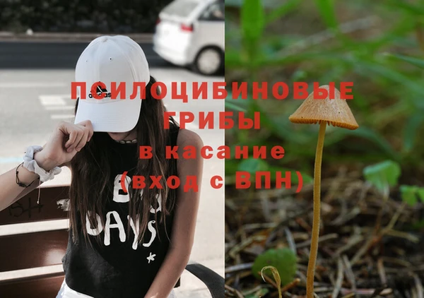 кокс Аркадак